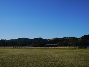P1010358