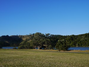 P1010359