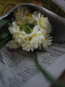 P1250560