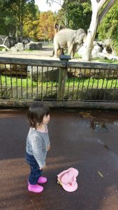 20160521_105610