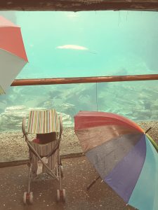 20160625_142038