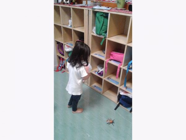 story_image_v2_o_1b3q5b7he2jktjo5e2lve1jp5m_640_wide