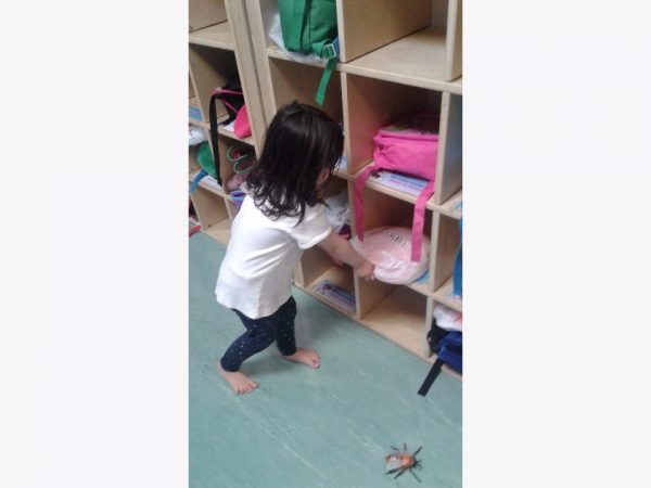 story_image_v2_o_1b3q5b7heqk81oir1ccgeb51knuo_640_wide